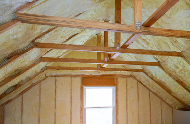 Best Cellulose Insulation in Vancleave, MS