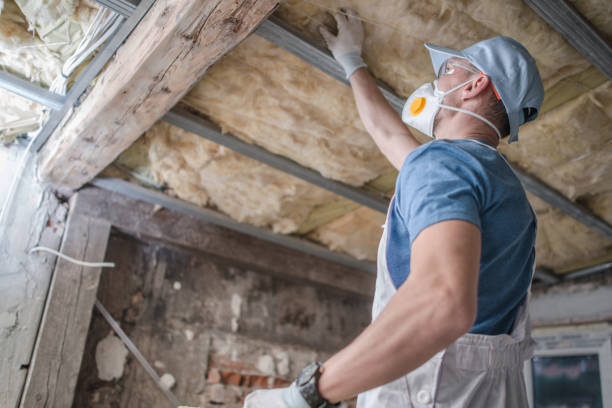 Best Commercial Insulation in Vancleave, MS