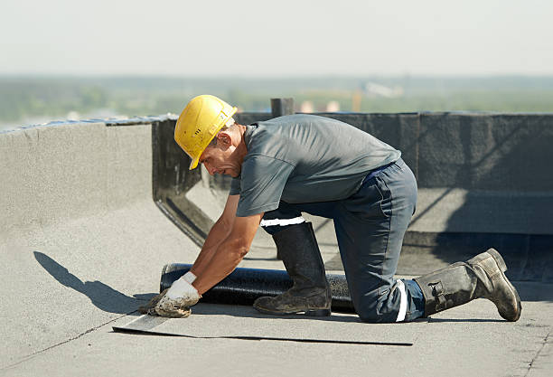 Types of Insulation We Offer in Vancleave, MS